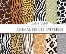 Image result for Safari Animal Prints