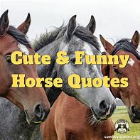 Image result for Cowboy Horse Quotes