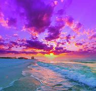 Image result for Tropical Pink Sunset