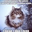 Image result for Broken Cat Meme