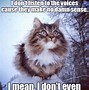 Image result for Flopper Cat Meme