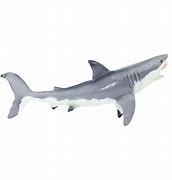 Image result for Safari LTD Great White Shark