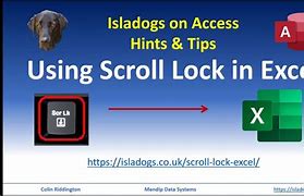 Image result for Scroll Lock ProBook