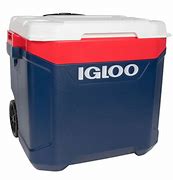 Image result for igloo coolers