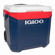 Image result for igloo coolers