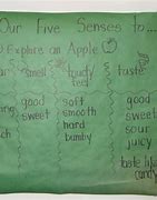 Image result for Apple 5 Senses