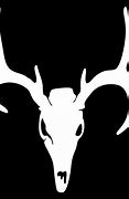 Image result for Whitetail Deer Skull Clip Art