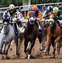 Image result for Thoroughbred Race