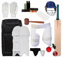 Image result for Kashmir Willow Best Cricket Kit