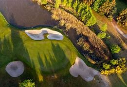 Image result for Golf Green From Above