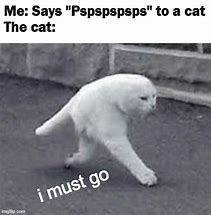Image result for Pspspspspspss Cat Meme