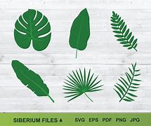 Image result for Jungle Leaf SVG
