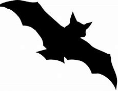 Image result for Bat Pic Black and White