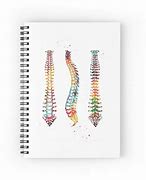 Image result for Spiral Notebook Spine