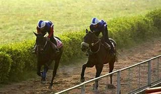 Image result for Horse Racing Attire