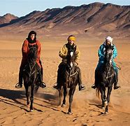 Image result for Berber Race