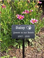 Image result for Engraved Pet Memorial Plaques
