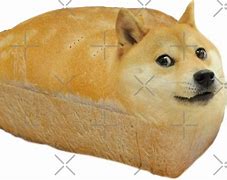Image result for Doge Meme Breed