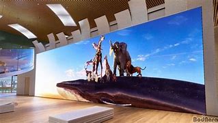 Image result for The World's Largest TV