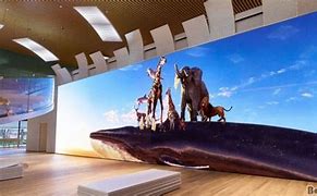Image result for Largest TV Screen