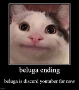 Image result for Beluga PFP Meme