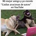 Image result for Learning Spanish Funny