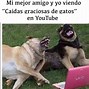 Image result for Funny Spanish Birthday Memes