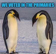 Image result for Sad Penguin Meme