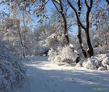 Image result for invierno