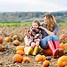 Image result for Fun Day Pumpkin Picking