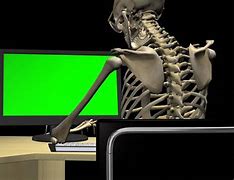 Image result for Skeleton Working