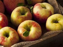 Image result for Types of Honeycrisp Apples