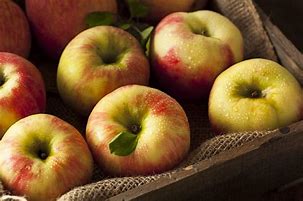 Image result for Washington Honeycrisp Apples