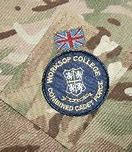 Image result for CCF's Crest