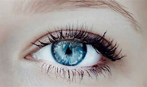 Image result for Implantable Contact Lens