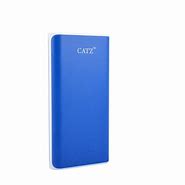 Image result for Power Bank for Phone