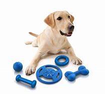 Image result for pet-supplies