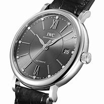 Image result for IWC Classic Watch