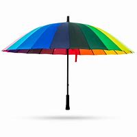 Image result for Coach Pride Umbrella