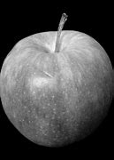 Image result for Black and Grey Apple