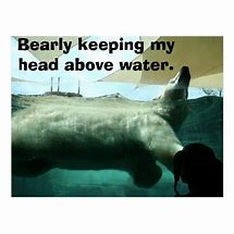 Image result for Above the Water Meme Covid Era