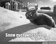 Image result for New York Snow Meme