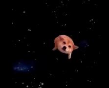 Image result for Galaxy Doge YouTube Banner