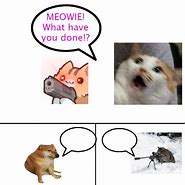 Image result for Done Cat Meme