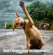 Image result for Don't for Get to Turn in Your Assignment Meme