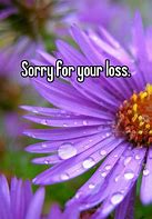Image result for Meh Your Loss Meme