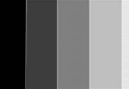 Image result for iPhone Difference Between Black and White
