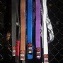 Image result for Jiu Jitsu Belt System