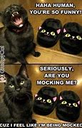 Image result for Funny Cat Meme Names