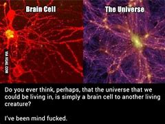 Image result for The Human Brain and the Cosmos